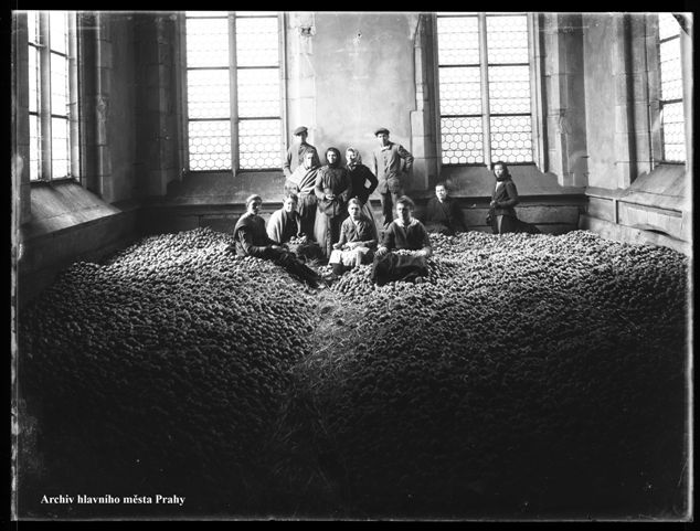 Pohled na zásoby jablek v místnosti obecní zásobárny v Praze, kol. 1915 (foto: Archiv hlavního města Prahy)