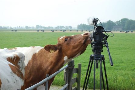 Portrét nizozemských farmářů vyhrál Life Sciences Film Festival