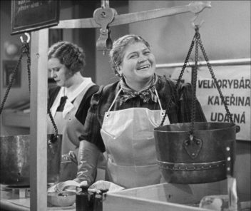 Antonie Nedošinská