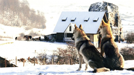 Nejasná zpráva o konci světa: mýtus o konci svobodné vůle (a) devadesátých let